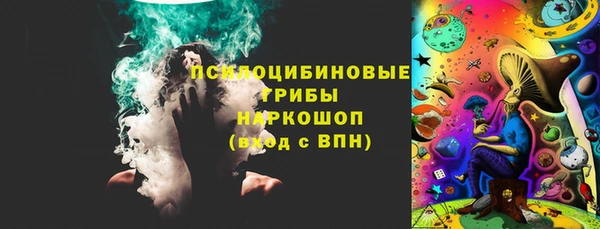 гашик Вязники