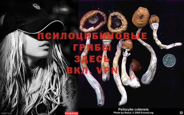 ECSTASY Вяземский