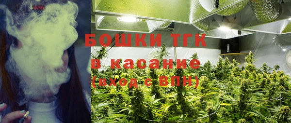 ECSTASY Вяземский