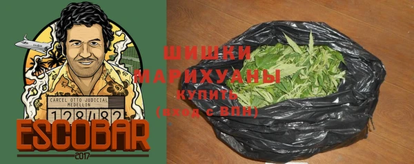 ECSTASY Вяземский