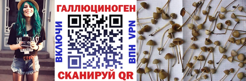 наркошоп  Москва  мега   Галлюциногенные грибы MAGIC MUSHROOMS 