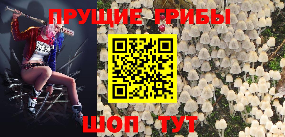 Москва  Псилоцибиновые грибы MAGIC MUSHROOMS  Вход с VPN  Галлюциногенные грибы прущие грибы 